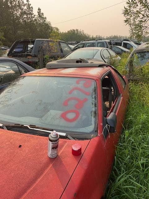 1987 Nissan Pulsar