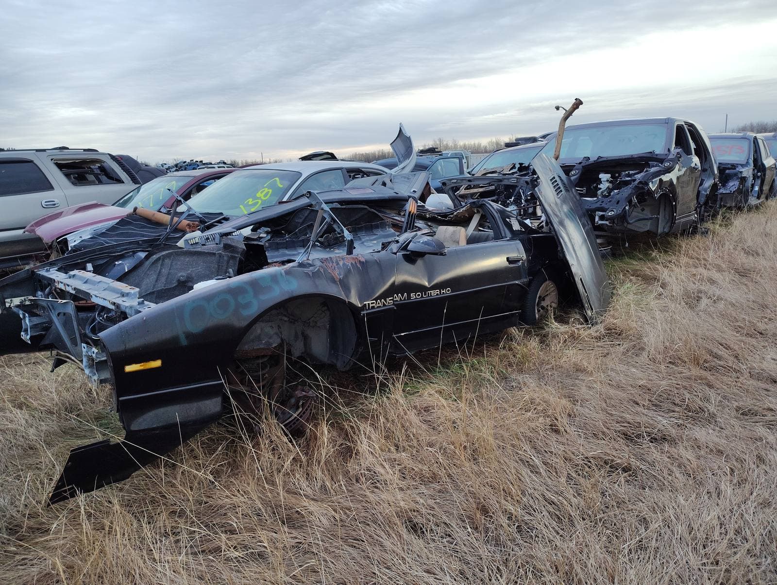 1986 Pontiac Firebird Trans Am