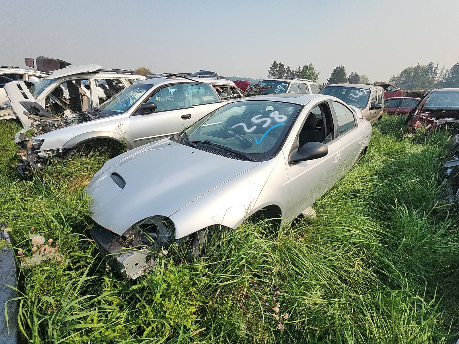 2005 Dodge Neon Sx 2.0