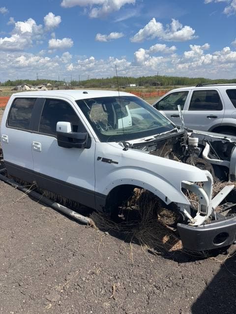 2010 Ford F-150 Styleside
