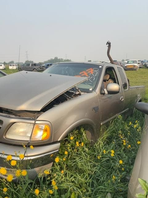 2001 Ford F-150